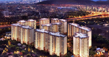 ��æ����(�й���)���޹�˾����