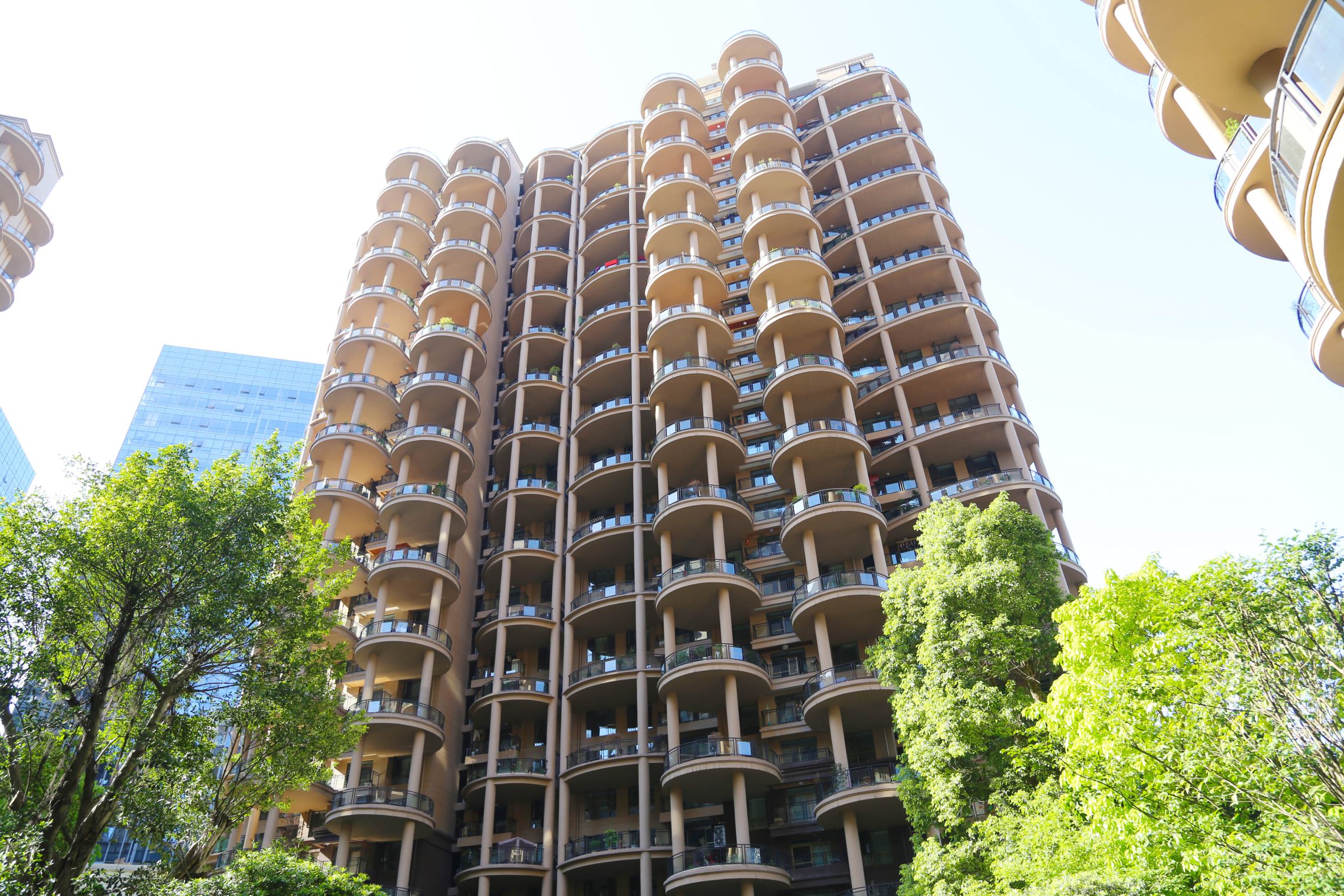 ��æ����(�й���)���޹�˾����